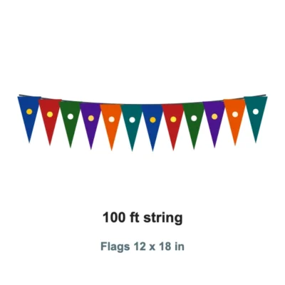 Custom Pennant String 100 x 12x18 in