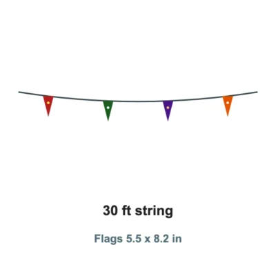 Custom Pennant String 30 x 5.5x8.2 in