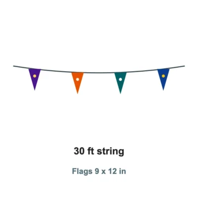Custom Pennant String 30 x 9x12 in