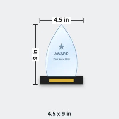 Flame Crystal Trophy 4.5 x 9 in