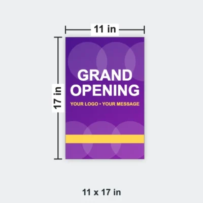 Business Flyer size 11 x 17 in