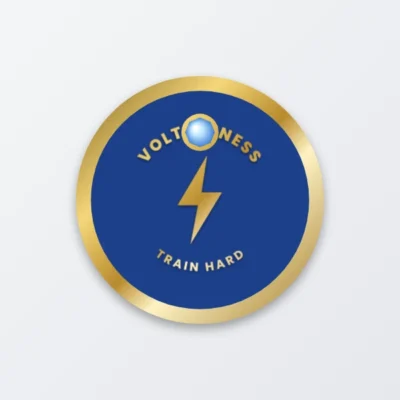 Metal badge sticker with gem