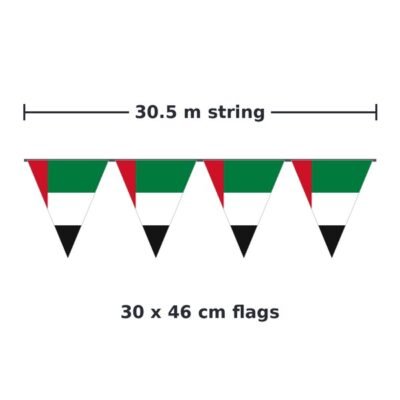 30.5 m string, 30 x 46 cm flags