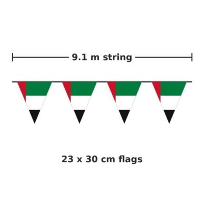 9.1 m string, 23 x 30 cm flags