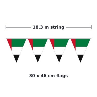 18.3 m string, 30 x 46 cm flags